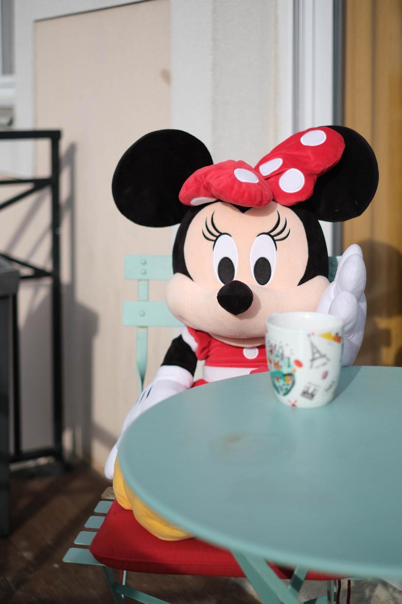 Apart' Minnie - Disneyland Paris - 3 Bedrooms - Parking Prive ماني لو أونغر المظهر الخارجي الصورة