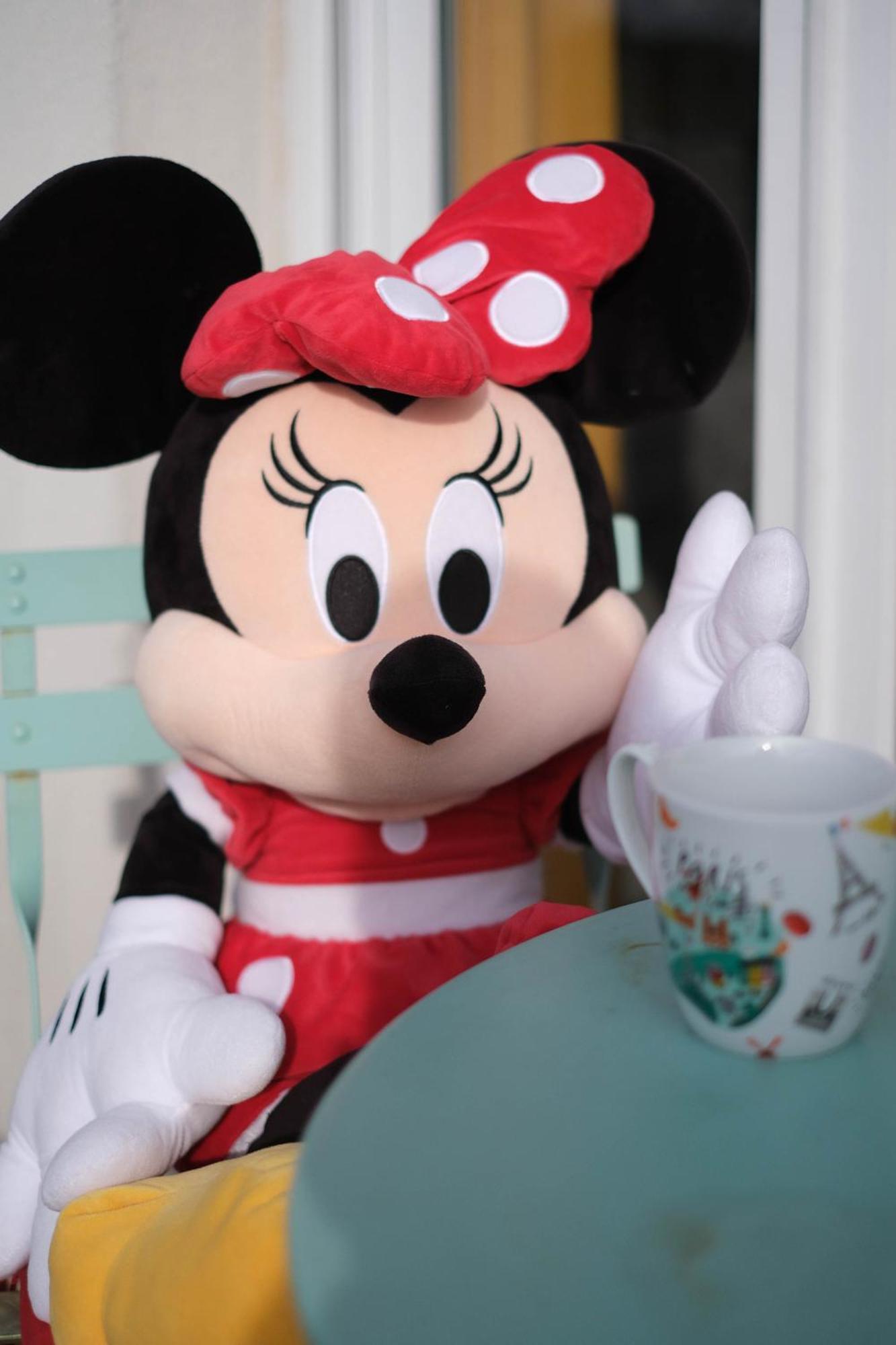 Apart' Minnie - Disneyland Paris - 3 Bedrooms - Parking Prive ماني لو أونغر المظهر الخارجي الصورة
